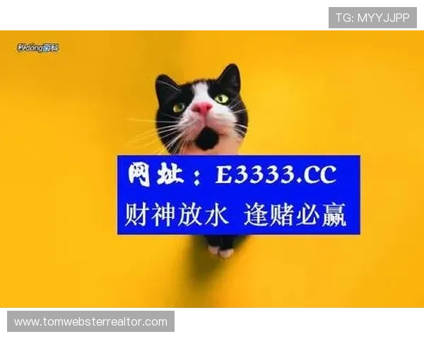 专家推荐366bet必赢的优惠活动与奖励机制帮助玩家最大化收益