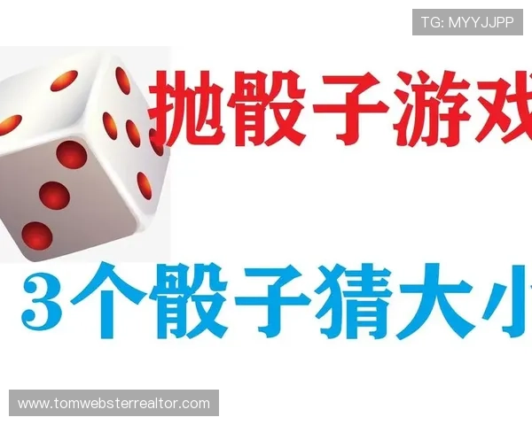 三个骰子大小玩法规则详解,帮助新手快速掌握游戏技巧与策略 三个骰子大小玩法规则详解,帮助新手快速掌握游戏技巧与策略