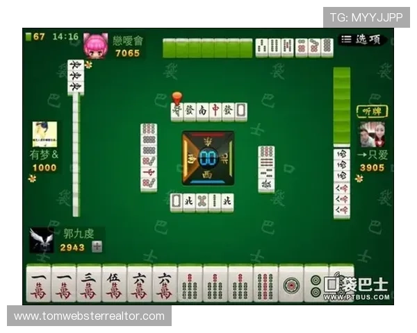 二人麻将的不同打法风格分析，适合新手和高手的多样策略指南