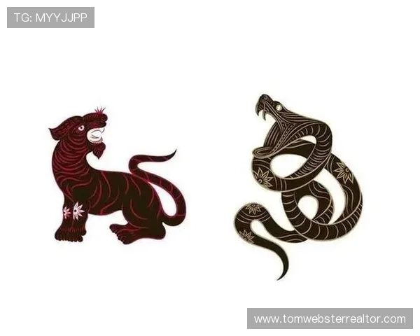 属龙属虎的最佳搭配方案：在网络游戏中提升团队协作效率的实用技巧