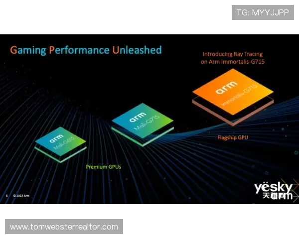 必赢3003am用户体验优化措施详解，打造更加流畅稳定的游戏环境