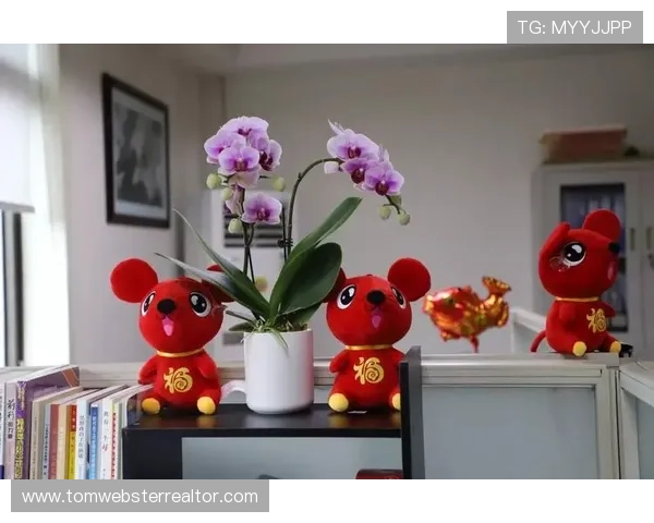 必赢国际怎么样的优惠活动丰富吗，是否能为玩家带来实实在在的福利